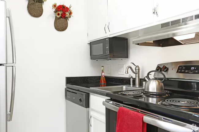 1 Bed 1 Bath 217 217 floor plan
